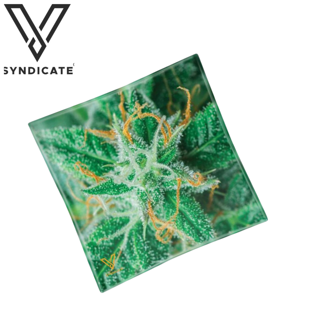 Aschenbecher, V Syndicate®, AK47